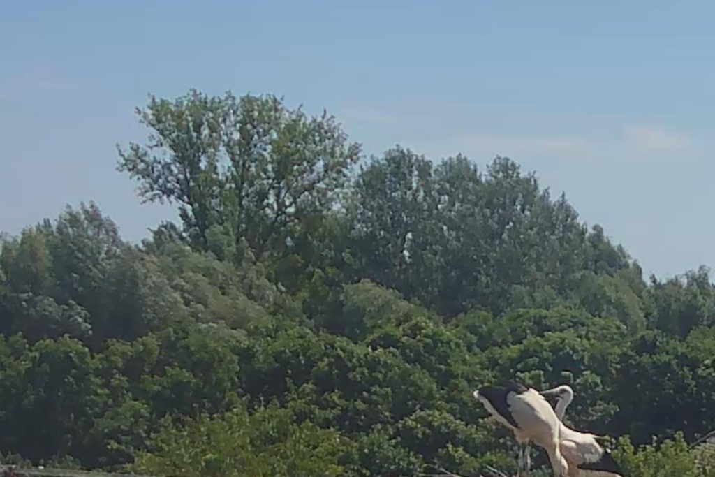 Netaknute lokacije koje ogledaju prirodnu raznolikost Hrvatske (A koje vjerojatno ste propustili vidjeti)