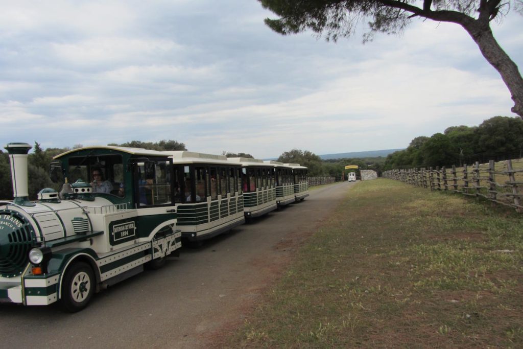 Nacionalni park Brijuni s djecom