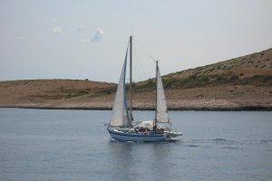 Promatrajte dupine na otoku Lošinj